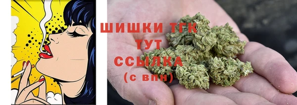 шишки Карпинск
