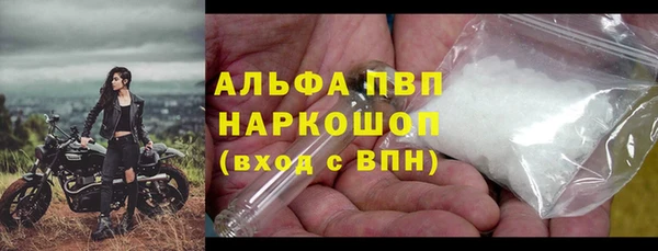 молекула духа Каменск-Шахтинский