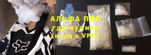 шишки Карпинск