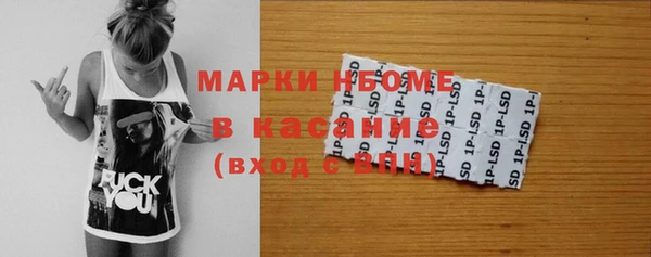 стафф Касимов