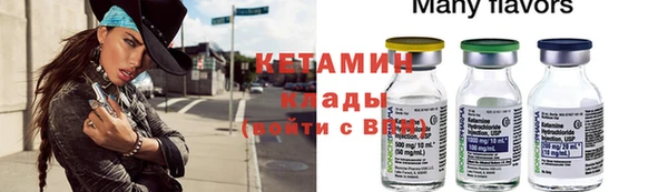 шишки Карпинск