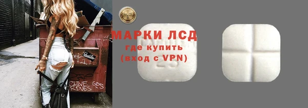 стафф Касимов