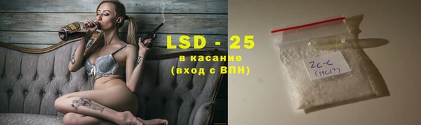 стафф Касимов