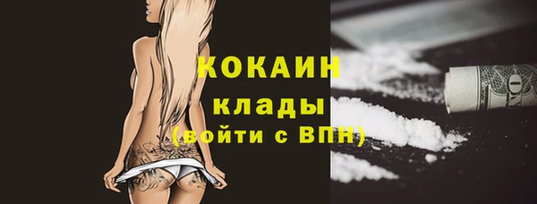 шишки Кинешма
