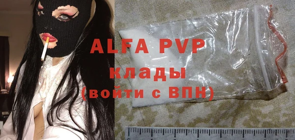 шишки Карпинск
