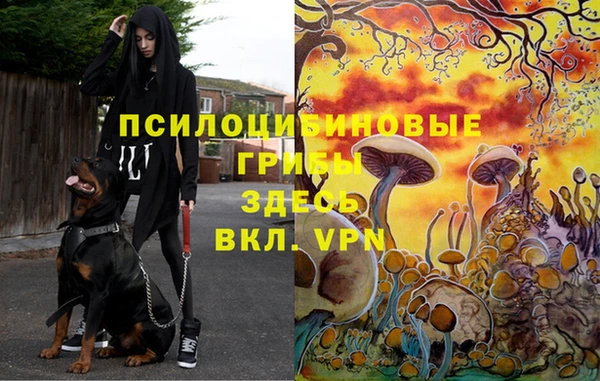 герыч Киренск