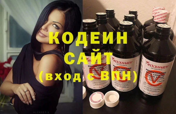 шишки Карпинск