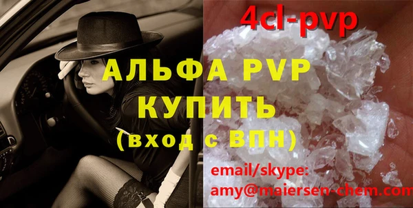 стафф Касимов
