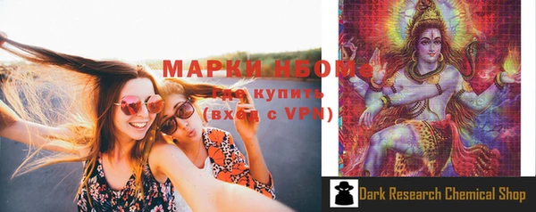 шишки Карпинск