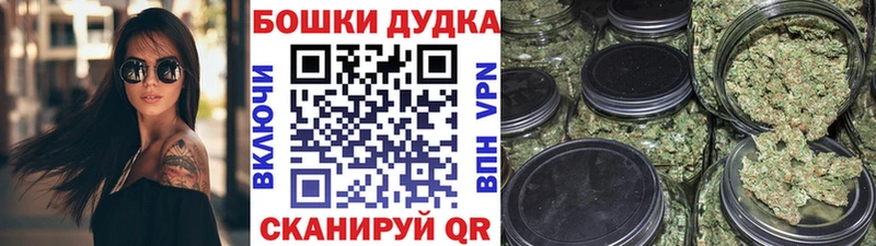 Шишки марихуана SATIVA & INDICA  сколько стоит  Кола 